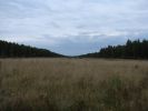 DSC05747.JPG
