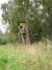 DSC05751.JPG