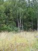 DSC05753.JPG