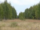 DSC05754.JPG