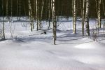 IMG_0012.JPG