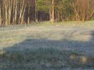 IMG_2702.JPG