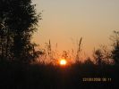 IMG_5692.JPG