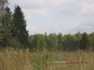IMG_5710.JPG