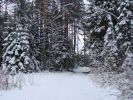 DSC01367.JPG