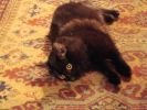 DSC01799.JPG