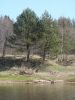 DSC01814.JPG