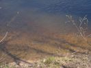 DSC01829.JPG