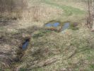 DSC01834.JPG