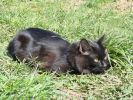 DSC01847.JPG