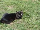 DSC01851.JPG