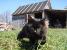 DSC01853.JPG