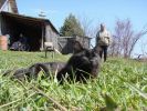 DSC01855.JPG