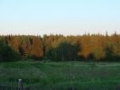 DSC01982.JPG