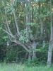 DSC02576.JPG