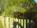 DSC00013.JPG