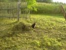DSC00024.JPG