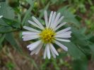 DSC02611.JPG