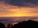 DSC02647.JPG