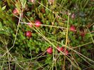 DSC02677.JPG