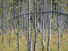 DSC02686.JPG