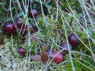 DSC02689.JPG