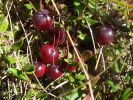 DSC02691.JPG
