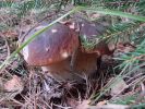 DSC02697.JPG