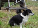 DSC02757.JPG