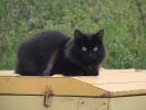 DSC02761.JPG