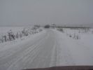 DSC03672.JPG