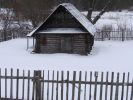 DSC03687.JPG