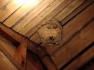 DSC03691.JPG