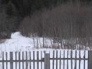 DSC03702.JPG