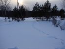 DSC03721.JPG