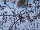 DSC03724.JPG