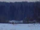 DSC03735.JPG