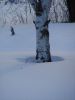 DSC03736.JPG