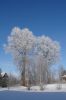 DSC03776.JPG