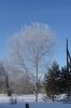 DSC03777.JPG