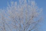 DSC03778.JPG