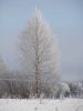 DSC03780.JPG