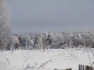 DSC03781.JPG