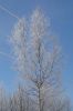 DSC03784.JPG