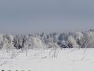 DSC03786.JPG