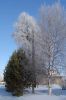 DSC03787.JPG