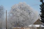 DSC03788.JPG