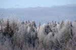 DSC03789.JPG