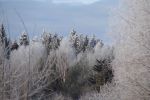 DSC03790.JPG