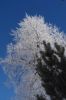 DSC03792.JPG